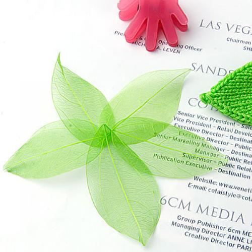 Art Craft With Leaves - Natural Catbrier Skeleton Leaves Multi Purpose