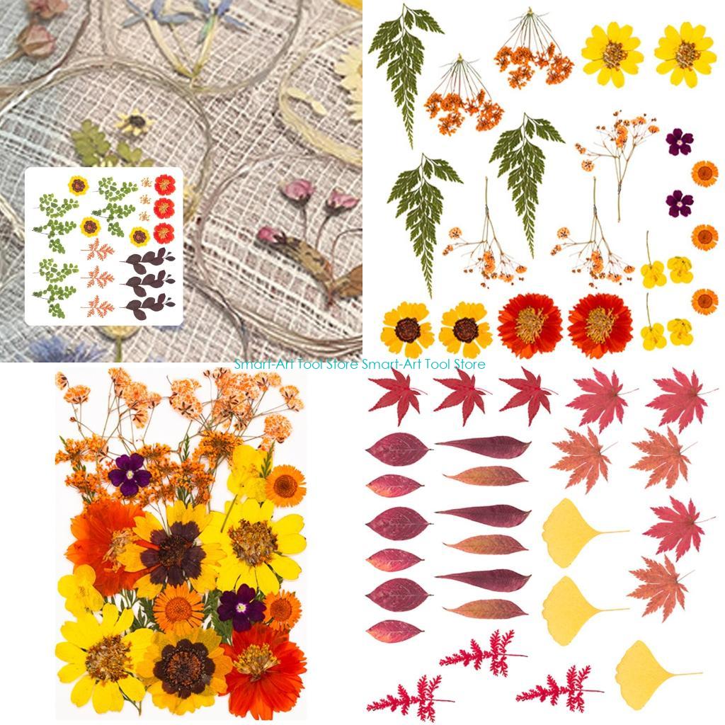 Art Craft With Leaves - E1PB Natural Dry Flower Leaves Set