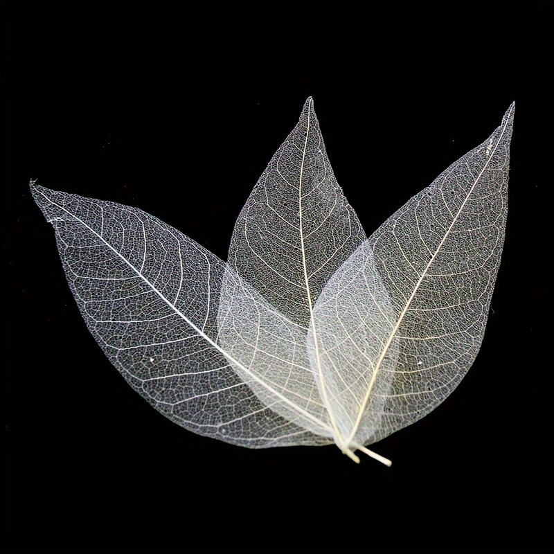 10pcs Art Deco Wooden Leaf Vei - Art Craft With Leaves avaliação e preço