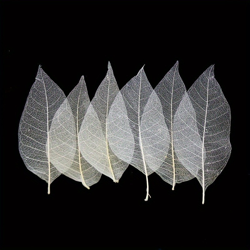 10pcs Art Deco Wooden Leaf Vei - Art Craft With Leaves avaliação e preço