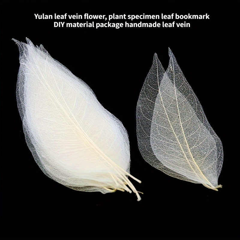 10pcs Art Deco Wooden Leaf Vei - Art Craft With Leaves avaliação e preço