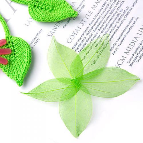 Natural Catbrier Skeleton Leav - Art Craft With Leaves avaliação e preço