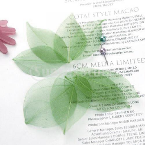 Natural Catbrier Skeleton Leav - Art Craft With Leaves avaliação e preço