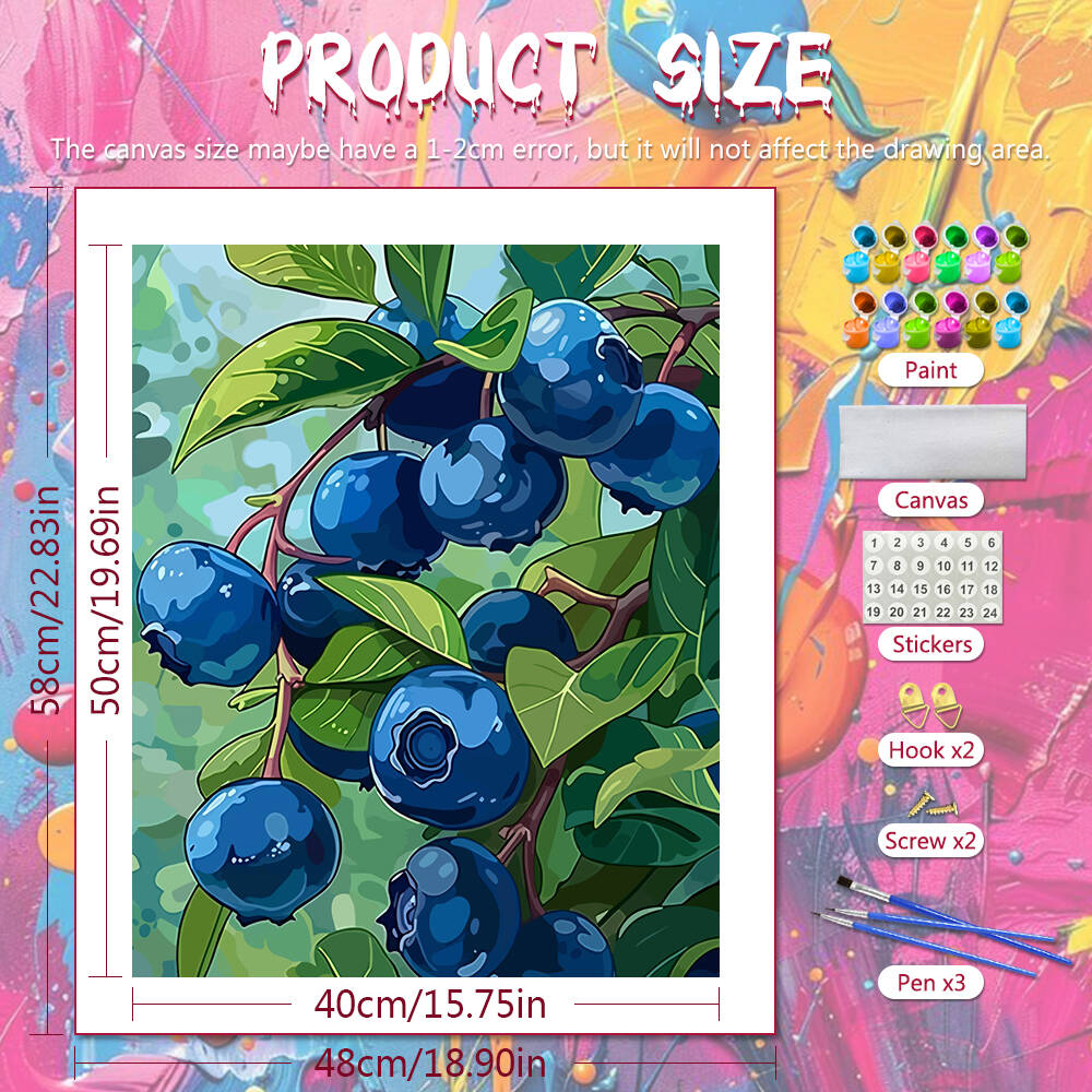 DIY Drawing By Numbers Blueber - Art Craft Number avaliação e preço