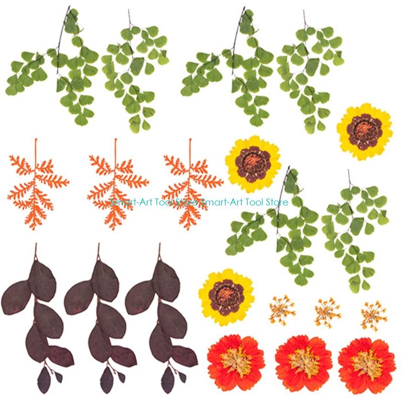 E1PB Natural Dry Flower Leaves - Art Craft With Leaves avaliação e preço