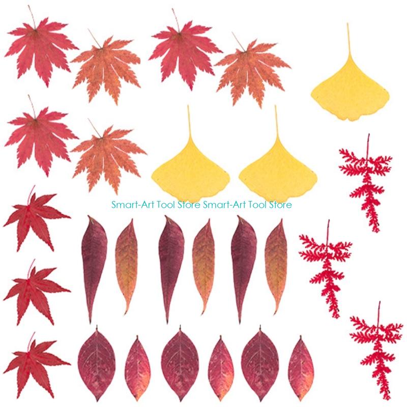 E1PB Natural Dry Flower Leaves - Art Craft With Leaves avaliação e preço