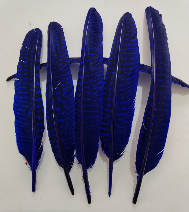 перья!100Pcs/Lot!14-20cm Multi - Art Quilling Craft avaliação e preço