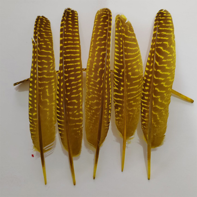 перья!100Pcs/Lot!14-20cm Multi - Art Quilling Craft avaliação e preço